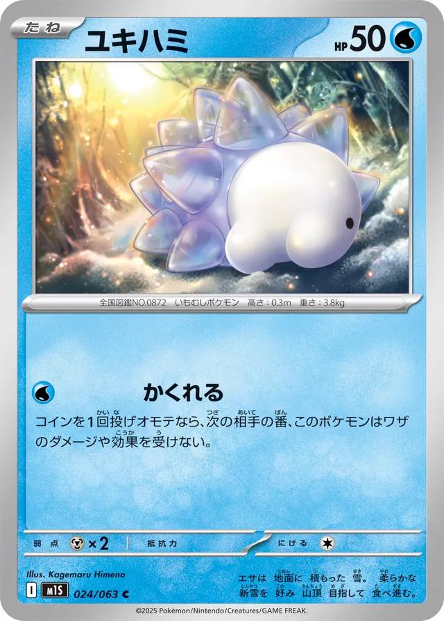 Snom 024/063