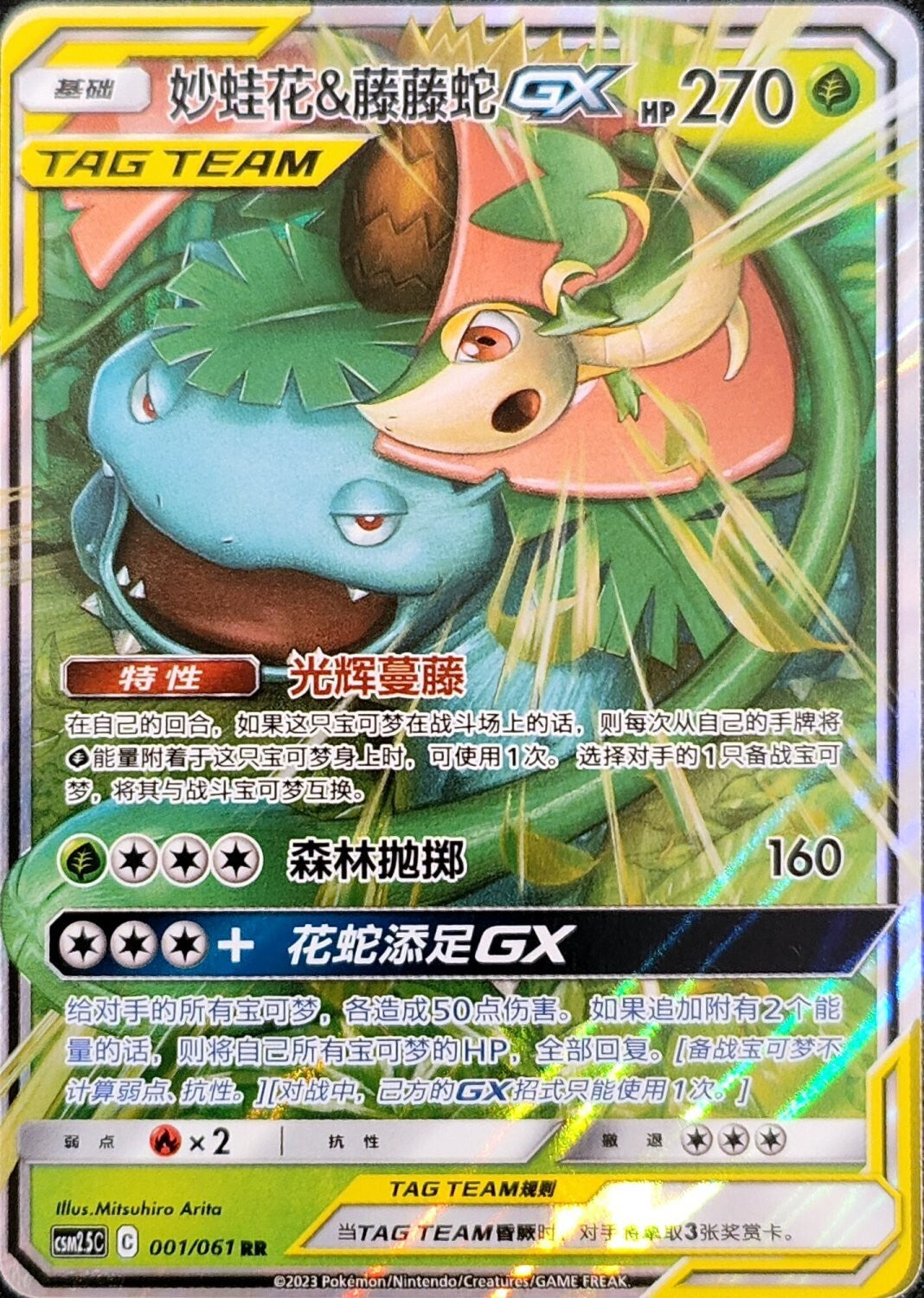 Venusaur & Snivy 001/061 C