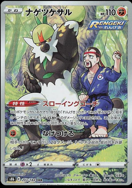 Passimian 203/184