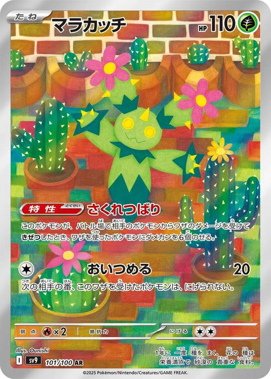 Maractus 101/100 Korean