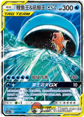 Magikarp & Wailord 005/150 C